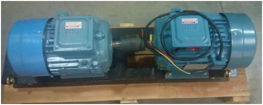 AC  Induction Motor With Spring Balance Load